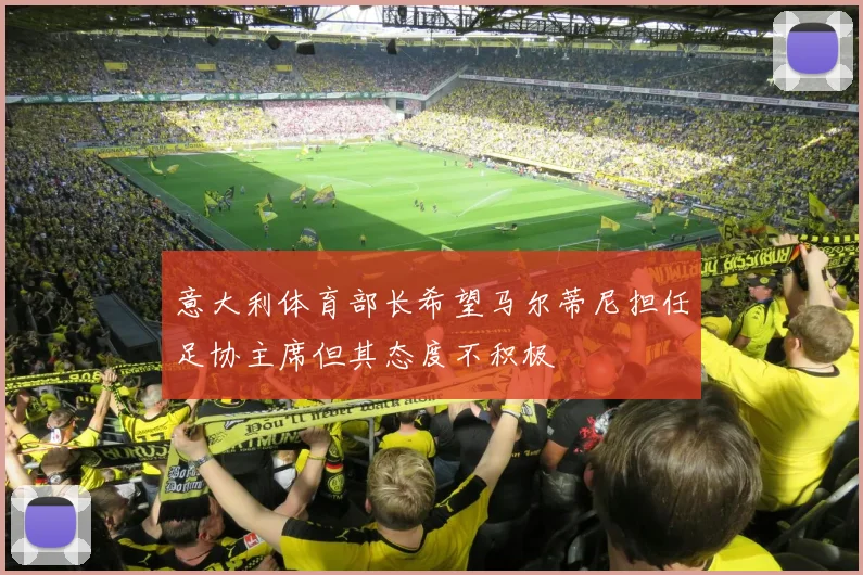 意大利体育部长希望马尔蒂尼担任足协主席但其态度不积极